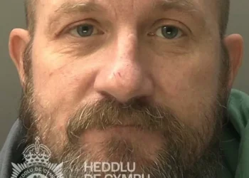 Bully punched ex as she was on the phone to police