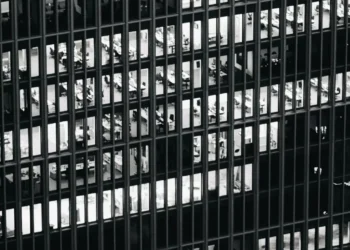 “The Driving Force: How Culture Shapes Our World”