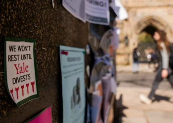 Yale Investments in Companies Selling Arms to Israel Violate State Law, Says an Official Complaint