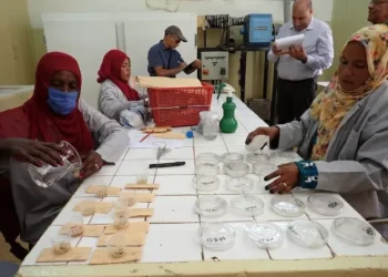 Seeds of Survival, Amid Conflict Sudan Is Saving Its Agricultural Future