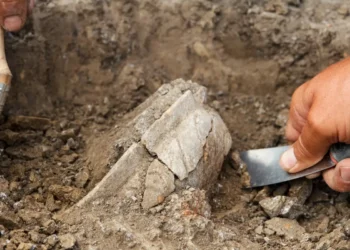 What Can We Learn From The Women Of The Iron Age? 