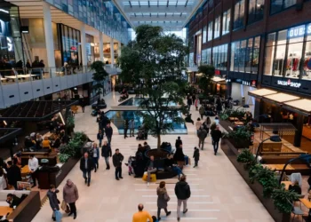 “The Impact of Economía on Our Daily Lives”