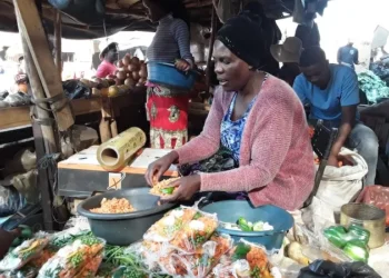 Growing Legacy: Raising Ambition in Agriculture Scientific Research as CGIAR Unveil New Portfolio