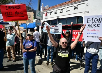 The Tesla Takedown Shows How We Can Make Oligarchs Feel the Pain
