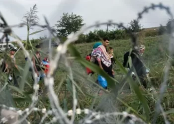 Migrant Smuggling: Europe Must Make a U-Turn