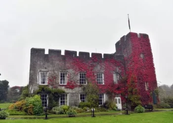 Dozens of women’s skeletons found lying in Welsh beauty spot, as strange new discovery made
