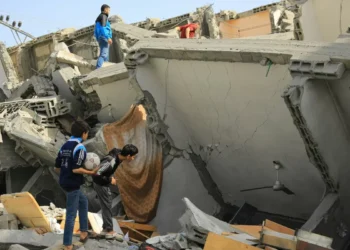 Propaganda of the Deed: Learning the Lessons of Mikhail Bakunin