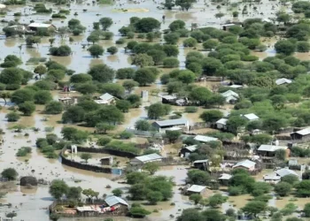 Uncertainty Looms for Kenya Following Tense IMF/World Bank Spring Meetings