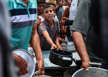 Former Israeli PM Says Country’s Action in Gaza is ‘Close to a War Crime,’ as U.N. Warns 14,000 Babies Could Die