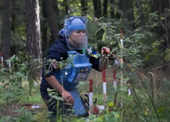 Lives at Risk After Some States Withdraw From Landmine Treaty