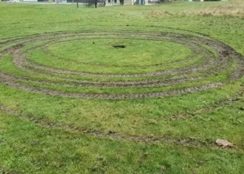 E-bike riders trash field and cause £10,000 worth of damage as business issues plea to vandals