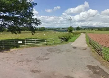 Farmer falsified certificates stating eggs he sold had been salmonella tested