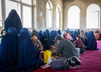 World Immunization Week Highlights the Urgency of Global Vaccine Access