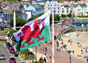‘Too many generations have missed out on speaking Welsh… why wait until 2050?’