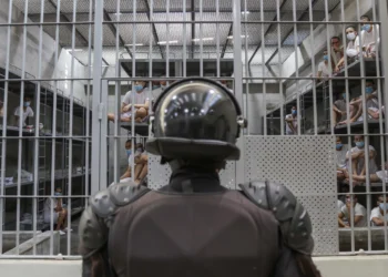 CECOT Is What the Bukele Regime Wants You to See