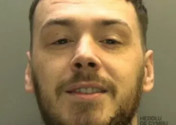 Cocaine and cannabis dealer kept ‘zombie knife’ at home