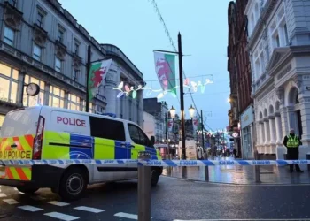 Siblings’ night out ended in blood and chaos after drunk woman fresh from wedding came swinging