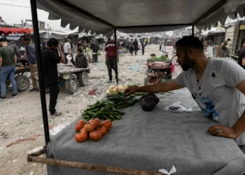 $25 Butter and $40 Eggs: The Search for Food in Gaza