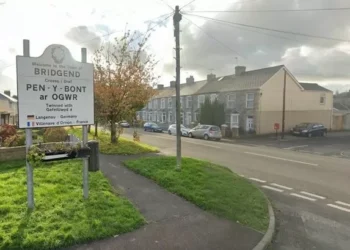 Grass-cutting delays hit Welsh county amid staffing challenges