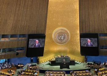 A Growing Gap between Principle and Implementation: 20 Years of Responsibility to Protect