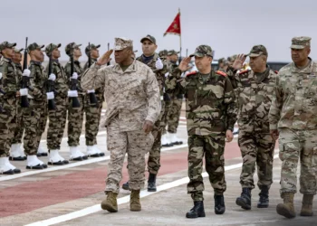 Top U.S. General in Africa Paints Grim Picture of U.S. Military Failures in Africa