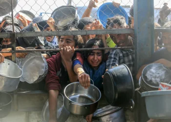 How Closures at Food Distribution Hubs Are Impacting Gazans