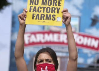 How the FBI and Big Ag Started Treating Animal Rights Activists as Bioterrorists