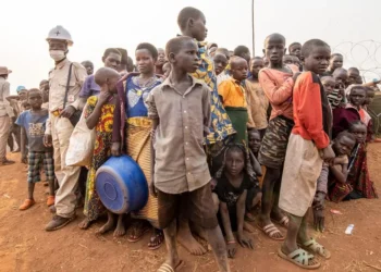 Increased Demand for Cobalt Fuels Ongoing Humanitarian Crisis in the Democratic Republic of the Congo