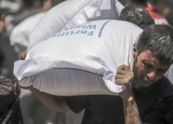 Israeli Soldiers Killed at Least 410 People at Food Aid Sites in Gaza This Month