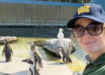 Zookeeper who cares for 42 penguins to represent Wales at international Miss Earth pageant