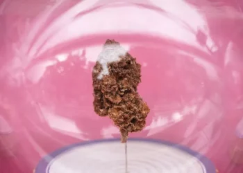 Thailand Moves to De-Legalize Weed in Major Drug-Policy U-Turn