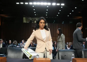 Tulsi Gabbard Is Hunting for “Deep-State Criminals.” Is She Even Following the Law?