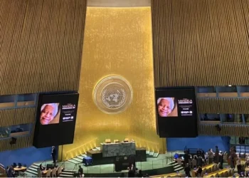 Price and Power of Freedom: Celebrating Nelson Mandela International Day