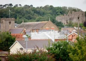 The unsolved village murder of the mysterious Madame X