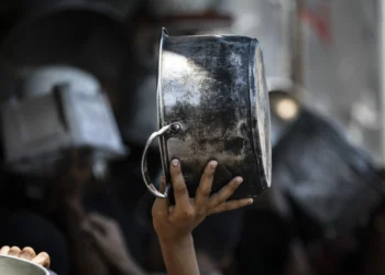 “Food Has Become a Memory”: My Hunger Diary in Gaza