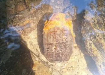Boys fishing in Welsh river find ‘dangerous’ WWII hand grenade