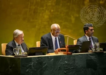 Does the UN Overstep Its Responsibility to Protect Mandate?