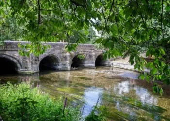 Warning over ‘decade of decline’ for one of England’s precious chalk streams
