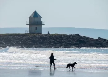 Part of Wales declaring war on dog owners with new rules on picking up mess and keeping pets on leads