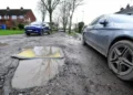 Elderly woman dies after falling into pothole