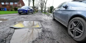 Elderly woman dies after falling into pothole