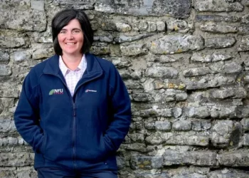 ‘They caused us anger and sleepless nights – now politicians have to earn our trust again’