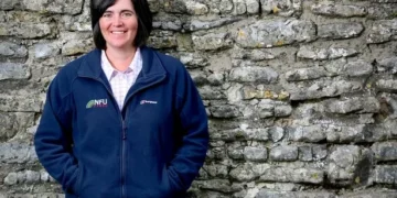 ‘They caused us anger and sleepless nights – now politicians have to earn our trust again’