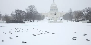 ‘Historic’ Storm Leaves 1 Million Without Power and 11,000 Flights Canceled Across U.S.