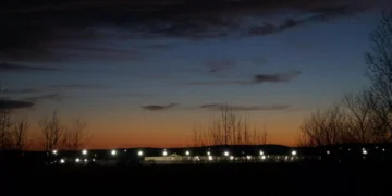 Private Prison Falsified Records in Detainee’s Death in ICE Custody