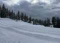 What to Know About the Deadly California Avalanche