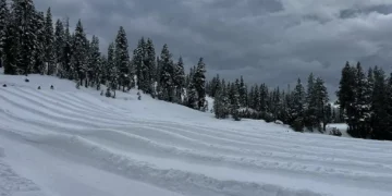 What to Know About the Deadly California Avalanche