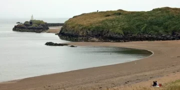 Strict new rules proposed for dog walkers on dozens of Welsh beaches