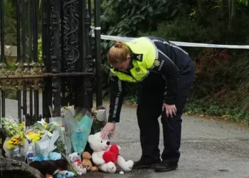 Man, 20s, arrested from airport on suspicion of murdering toddler after remains found on wasteland