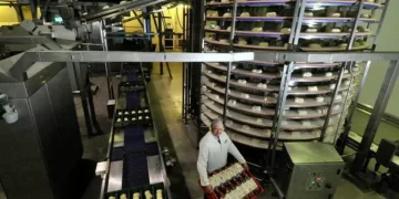 Famous Welsh company seeks government support after sale falls through